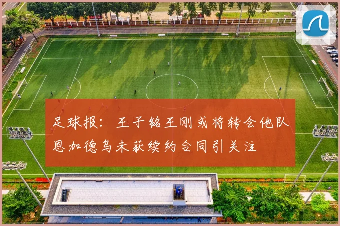 足球报：王子铭王刚或将转会他队恩加德乌未获续约合同引关注
