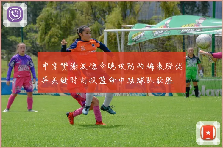 申京赞谢泼德今晚攻防两端表现优异关键时刻投篮命中助球队获胜