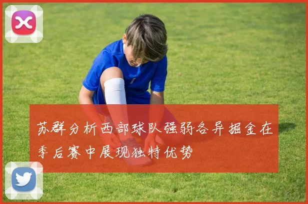苏群分析西部球队强弱各异掘金在季后赛中展现独特优势