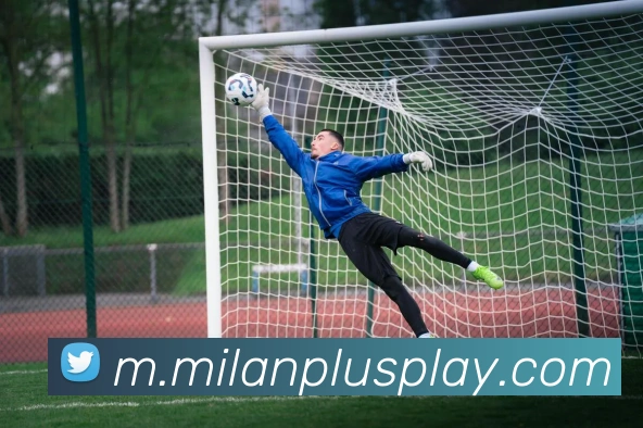 米兰体育平台生态图